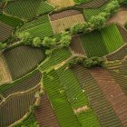 Vue aérienne de beaux champs agricoles verts pendant la journée — Photo de stock