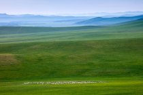 Красивый пейзаж с горами и зелеными лугами, Huolingguole, Внутренняя Монголия, Китай — стоковое фото