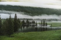 Wunderschöne Landschaft mit Bergen, Wald und See, Kanas, Xinjiang, China — Stockfoto