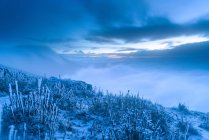 Amazing winter landscape with frozen plants, snow-covered mountains and cloudy sky — Stock Photo