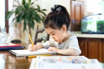 Маленька дівчинка вчиться вдома — стокове фото