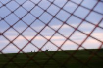 Blick durch Zaun auf Menschen und Pferd auf der Weide bei Sonnenuntergang, selektiver Fokus — Stockfoto
