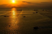 Blick auf Schiffe im Hafen bei Sonnenuntergang, Shenzhen, China — Stockfoto