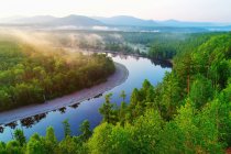 Aerial view of beautiful river and green forest at sunny day — Stock Photo