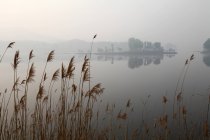 Hermoso paisaje con lago coveerd con niebla, qianxi, Hebei, China - foto de stock