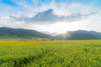 Beau paysage avec montagnes et plateau vert à Menyuan, Qinghai, Chine — Photo de stock