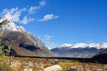 Beau paysage avec des montagnes enneigées et une végétation verte dans la vallée par temps ensoleillé, Tibet — Photo de stock