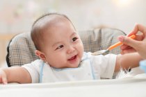 Colpo ritagliato di madre che tiene cucchiaio e alimenta adorabile bambino neonato — Foto stock