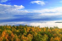 Beautiful autumn landscape with Greater Khingan Range, Heilongjiang Province, China — Stock Photo