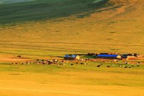 Hulun Buir Paisajes de pastizales de Mongolia Interior - foto de stock