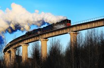 Low angle view of train with steam on bridge during daytime — Stock Photo
