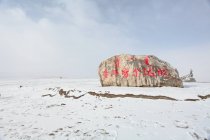 Snow of Barron town in Sinkiang, China — Stock Photo