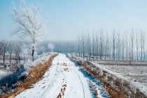Estrada rural coberta de neve no dia ensolarado de inverno — Fotografia de Stock