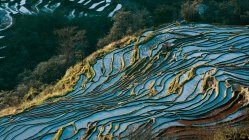 Высокий угол Вид на террасу Yuanyang в провинции Юньнань, Китай — стоковое фото