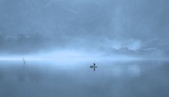 Місцеві краєвиди з рибалкою в тумані в Фуан (провінція Фуцзянь, Китай). — стокове фото