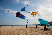 Aquilone che vola sulla spiaggia di Shenzhen, provincia del Guangdong, Cina — Foto stock