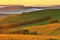 Erstaunliche Landschaft mit grünen Hügeln mit üppiger Vegetation bedeckt, Blick aus dem hohen Winkel — Stockfoto