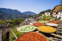 Close-up view of spices drying on autumn sun in Wuyuan, Jiangxi, China — Stock Photo
