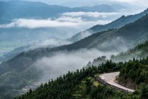Дивовижний гірський пейзаж з звивистою дорогою, зелені дерева в мальовничих горах в хмарах — стокове фото
