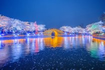 Остров черепашьей головы, люди, наслаждающиеся ночным видом на вишневый бор, Оксиси, провинция Цзянсу, Китай — стоковое фото