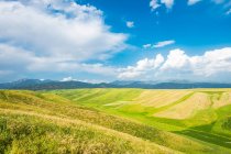 Blue cloudy sky over green hills and mountains on horizon — Stock Photo