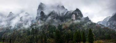 Дивовижний краєвид з зеленими деревами і скелястими горами, вкритими хмарами — стокове фото