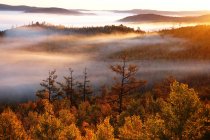 Majestueuse forêt d'automne dans la région du Grand Khingan, province du Heilongjiang, Chine — Photo de stock