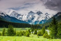 Increíble paisaje de montaña con picos cubiertos de nieve y vegetación verde en el valle - foto de stock