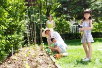 Счастливая семья в саду овощи — стоковое фото