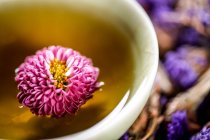 Close-up view of healthy organic herbal tea in cup — Stock Photo