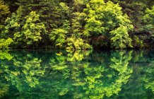 Красива природна сцена з лісом і спокійною водою в провінції Цзяйуґау, провінція Сичуань, Китай — стокове фото