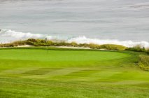 Green lawn at golf course and seascape, Monterey, USA — Stock Photo