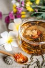 Close-up view of healthy organic herbal tea in glass cup — Stock Photo