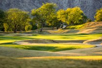 Удивительный газон на поле для гольфа и красивые зеленые деревья в солнечный день — стоковое фото