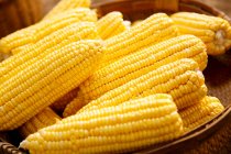 Vista de cerca de mazorcas de maíz amarillo maduras frescas - foto de stock