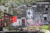 Jiangxi Qingyuan residence with red chinese lanterns and blossoming trees — Stock Photo