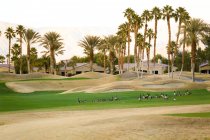 Поле для гольфу на сірій гусці — стокове фото