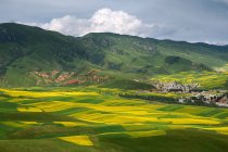 Красивый Менюань пастырские пейзажи в провинции Цинхай, Китай — стоковое фото