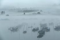 Qingyuan City, Guangdong Province, high angle view of fishing village in fog — Stock Photo