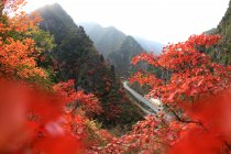 Осінній пейзаж у Лзусі повіт провінції Хенань, Китай — стокове фото
