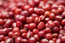 Vue rapprochée des haricots Adzuki rouges crus dans un bol — Photo de stock