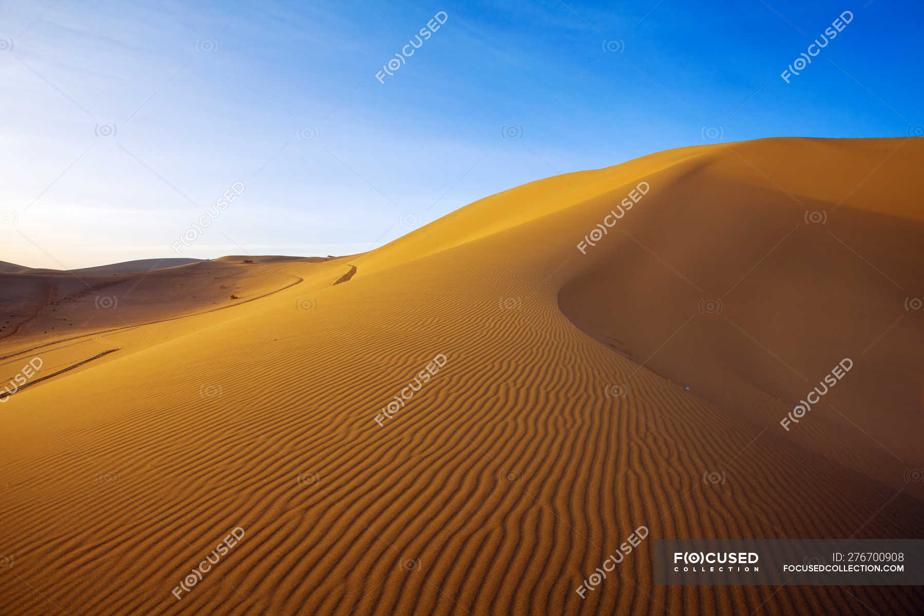 Quicksand Stock Photos, Royalty Free Images Focused