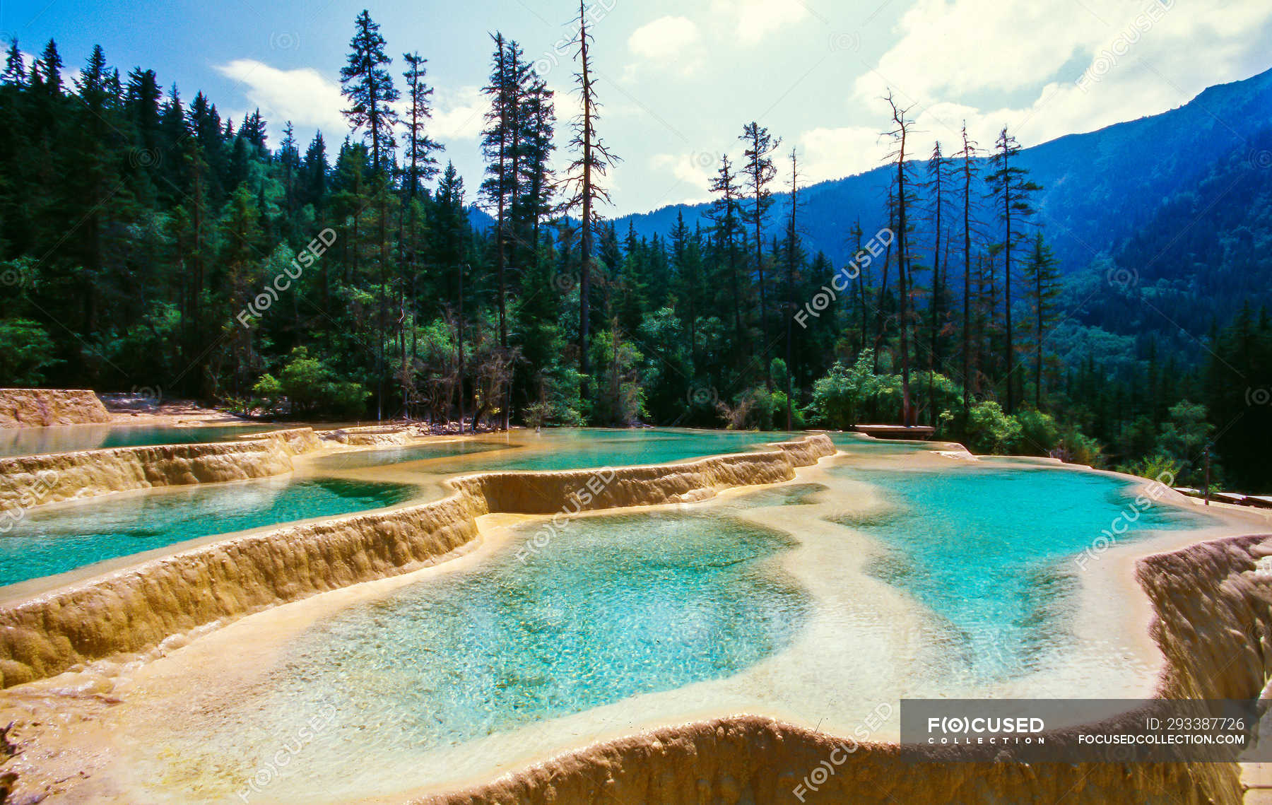 Beautiful Natural Scene With Forest And Calm Water At Jiuzhaigou Province Sichuan Province China Environment Water Surface Stock Photo 293387726