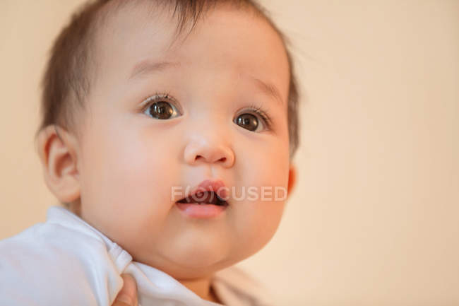 Close-up view of adorable asian infant baby on pink background — Stock Photo