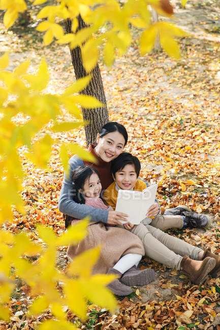 Высокий угол зрения улыбающейся азиатской матери, читающей книгу дочери и сыну возле дерева в осеннем парке — стоковое фото