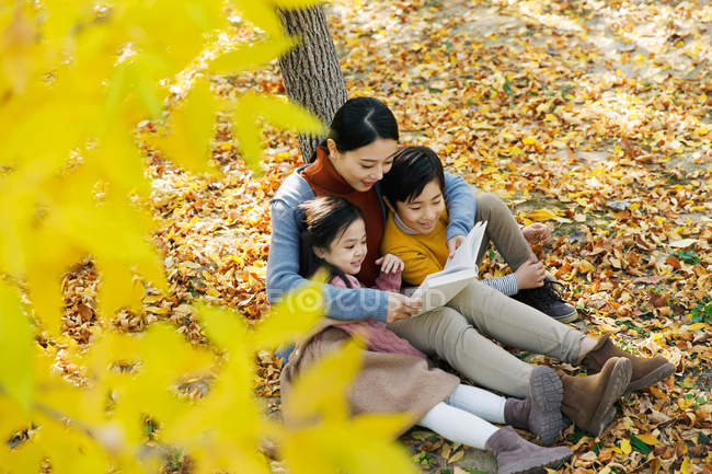Alto ângulo vista de sorrir ásia mãe leitura livro para filha e filho perto de árvore no outonal parque — Fotografia de Stock