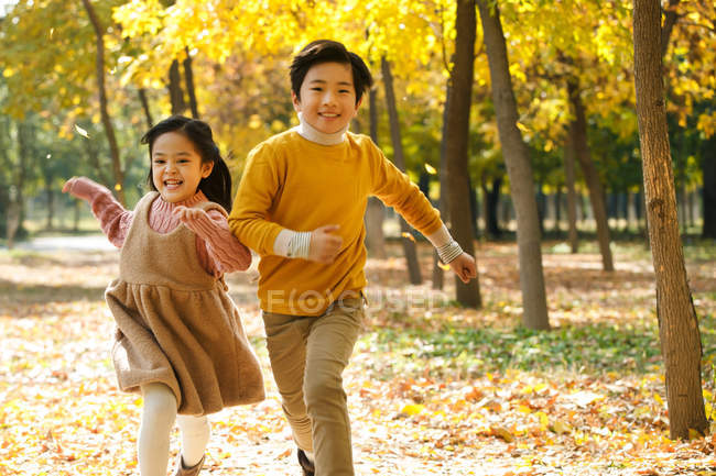 Adorable feliz asiático niños sonriendo a cámara y corriendo juntos en otoño bosque - foto de stock