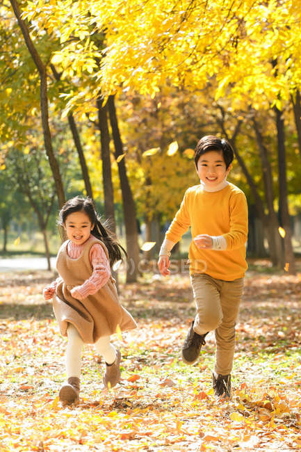 Adorable happy brother and sister running together in autumn forest — Stock Photo