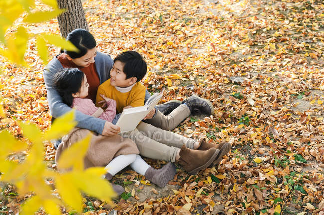 Высокий угол зрения улыбающейся азиатской матери, читающей книгу дочери и сыну возле дерева в осеннем парке — стоковое фото