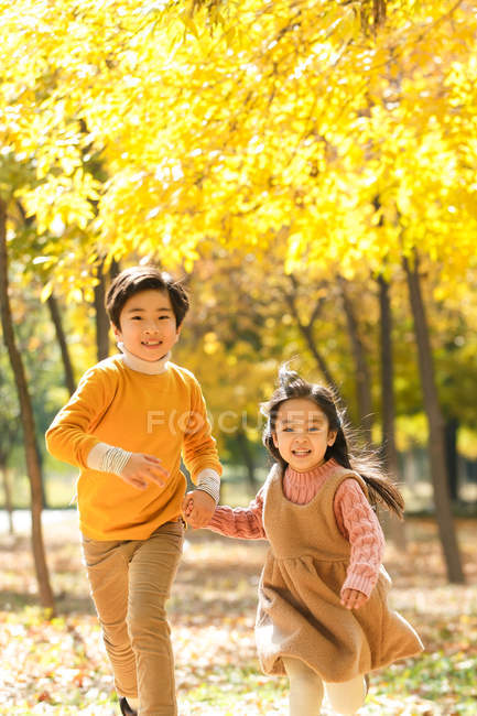 Adorable happy asian brother and sister running together in autumn forest — Stock Photo